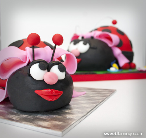 Ladybug Smash & Large Party Cake